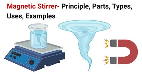 Magnetic Stirrer- Principle, Parts, Types, Uses, Examples