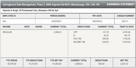 Ontario Pay Stub Generator - Canada Online Pay Stub Generator