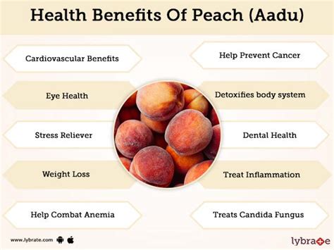 Peach (Aadu) Benefits And Its Side Effects | Lybrate