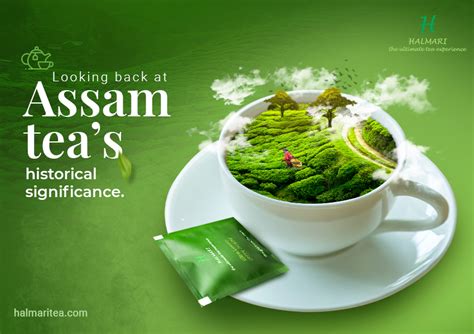 Assam Tea - The history from the books of Halmari