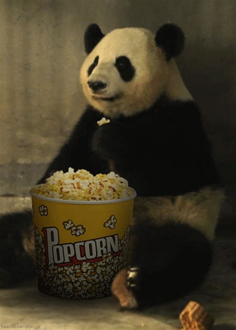 The Popular Eating Popcorn GIFs Everyone's Sharing