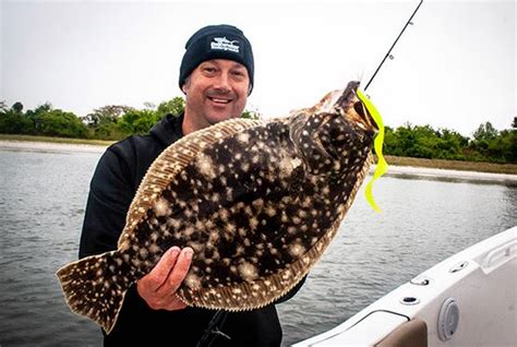 Floundering Marine Fisheries: The saga of southern flounder in NC ...