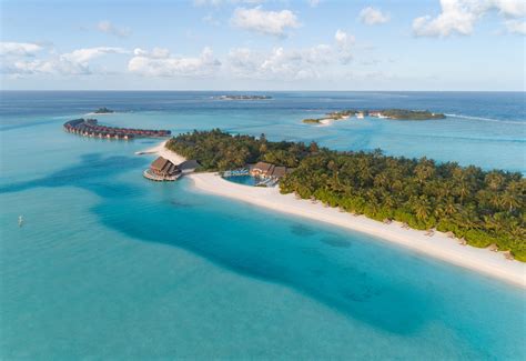 Coral makes a comeback at Anantara Maldives - Business - HOTELIER ...