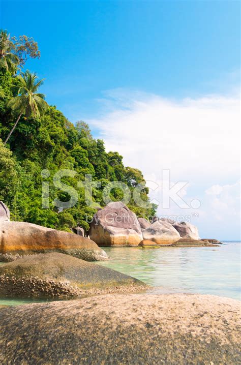 Sunny Landscape Stock Photo | Royalty-Free | FreeImages