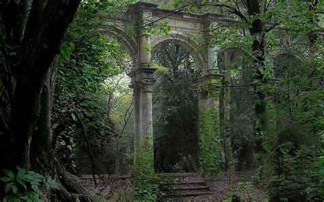 Forest Ruins Art | Magical places, Abandoned places, Beautiful places