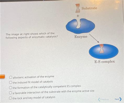 Solved The image at right shows which of the following | Chegg.com