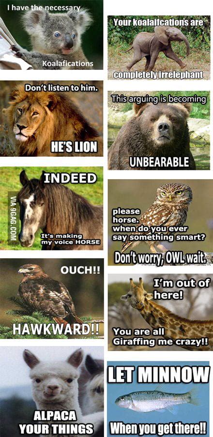 All the animal puns! - 9GAG