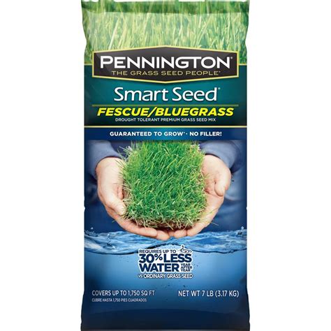 Pennington Smart Seed 7 lb. Fescue/Bluegrass Grass Seed Mix-100086835 ...