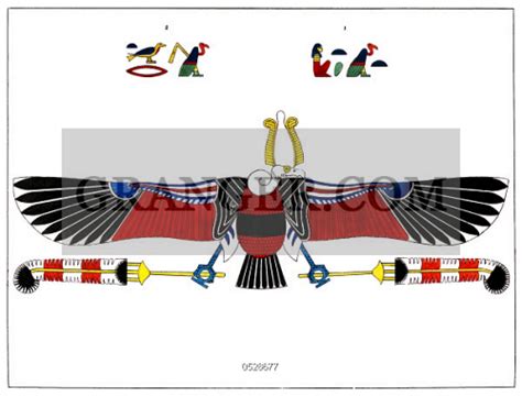 Image of EGYPT: VULTURE, 1823. - A Vulture, The Symbol Of The Goddess ...