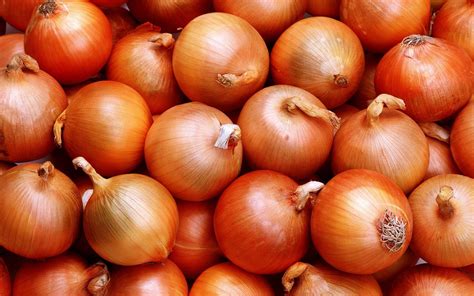 Onion Wallpapers - Wallpaper Cave