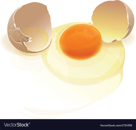 Broken egg Royalty Free Vector Image - VectorStock