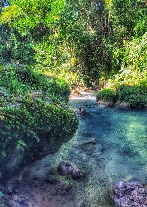 Trekking the rainforest in Jamaica : r/Outdoors