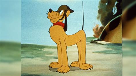 10 Things You Didn’t Know About Walt Disney’s Pluto - D23