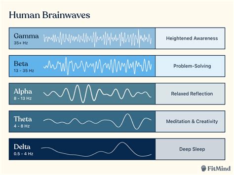 Brainwaves: Altered States & Technologies — FitMind