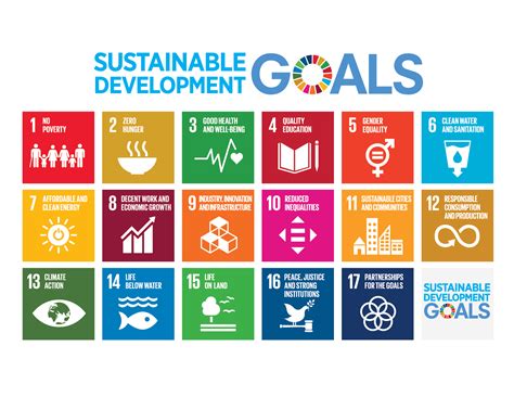 What are the Sustainable Development Goals?