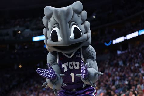 Why is TCU Mascot a Frog?