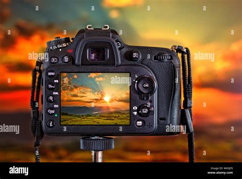 camera backside in natural context Stock Photo - Alamy