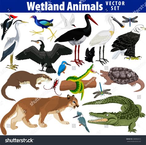 Swamp animals Images, Stock Photos & Vectors | Shutterstock