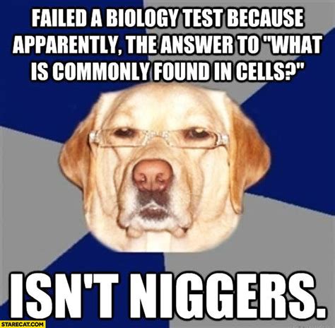 Biology Cat Meme