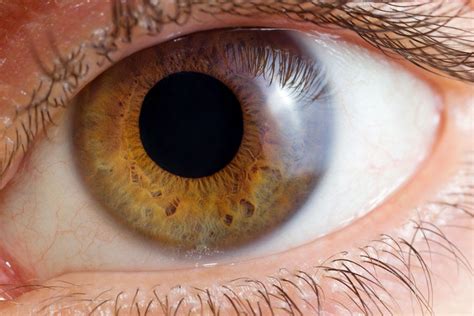 Causes of Corneal Injuries - Merrillville, IN