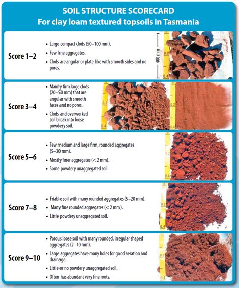 Soil Texture Types