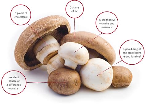 Nutritional Benefits of Mushrooms | Mushroom Council