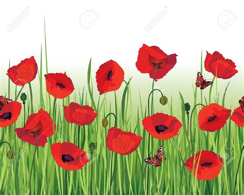 Free Poppy Flower Cliparts, Download Free Poppy Flower Cliparts png ...