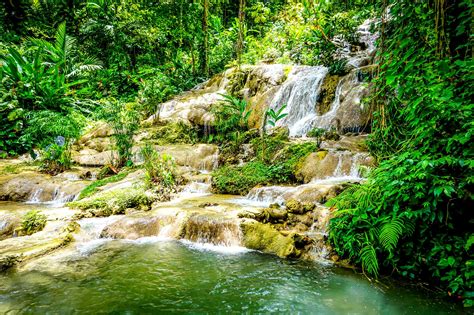 16 Best Waterfalls To Visit In Jamaica | BEACHES