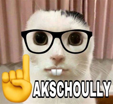 akschoully ☝️🤓 | nerd meme, raising finger emoji | Giudici