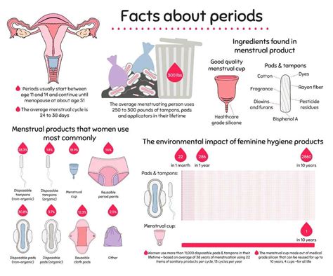 normal-or-irregular-menstrual-cycle - Philadelphia Holistic Clinic