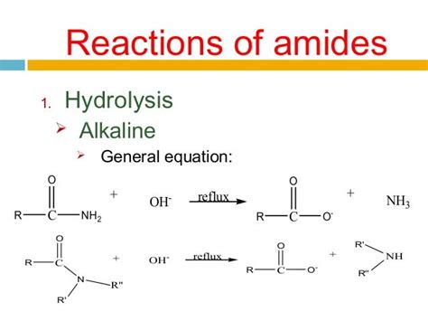 Chapter 8 amide