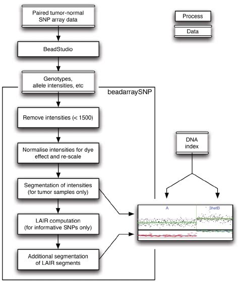 Analysis steps for SNP array data with the Illumina Beadstudio and the ...