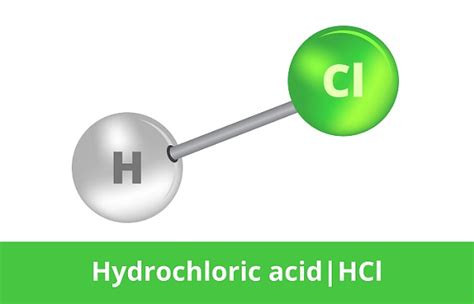 Hydrochloric Acid - The Definitive Guide | Biology Dictionary