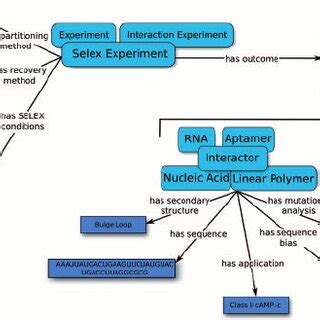 Summary of target types and aptamer types found in the Aptamer Base ...