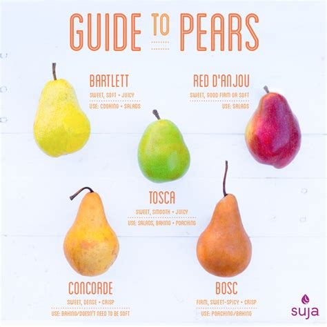 Different Types of Pears | Pear Varieties & Tastes | Suja Juice | Pear ...