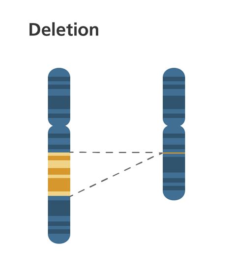 [Solved] Please describe three types of chromosomal rearrangements ...