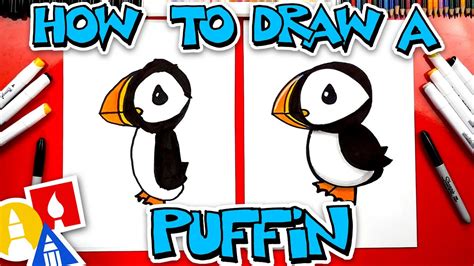 Tufted Puffin Drawing