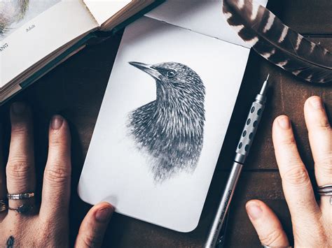 17 Drawing Techniques to Draw and Sketch like a Pro