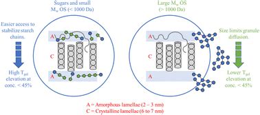 Oligosaccharides elevate the gelatinization temperature of wheat starch ...