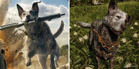 Far Cry 5: How To Get Boomer As A Companion