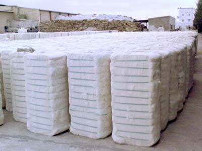 Raw Cotton Bales at Best Price in Mumbai, Maharashtra | Oceanic Exports