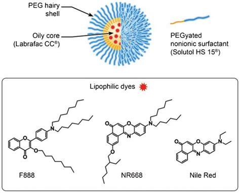 Schematic presentation of a nano-droplet and chemical structure of the ...