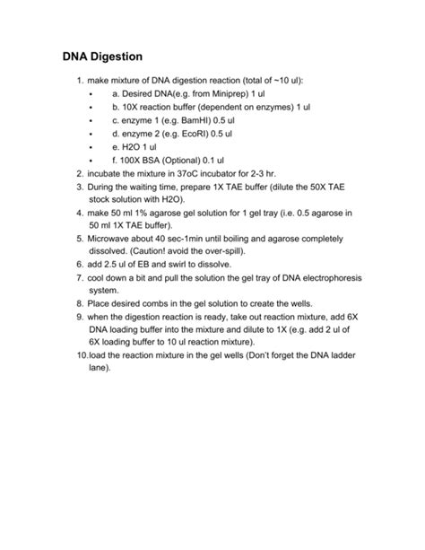 DNA Digestion