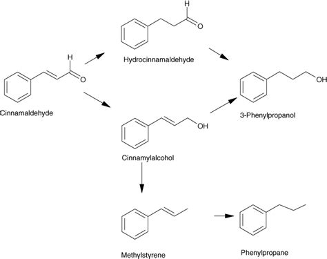 Scheme of cinnamaldehyde hydrogenation reaction. | Download Scientific ...