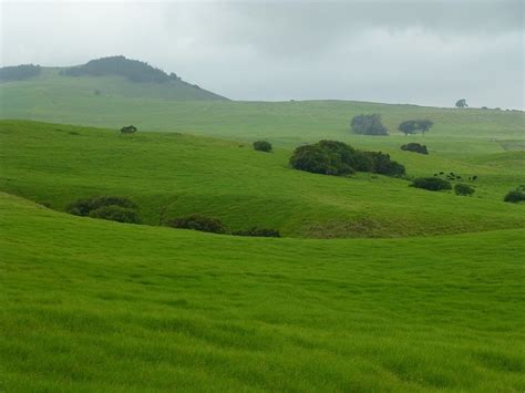 Kamuela,Hawaii...one of my favorite places in the world! | Kamuela ...