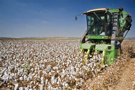 Cotton harvester | Harvesting, Automation, Efficiency | Britannica