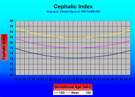 Brachycephaly Cephalic Index Chart: A Visual Reference of Charts ...