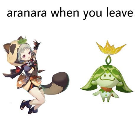 aranara👋 : r/Genshin_Memepact