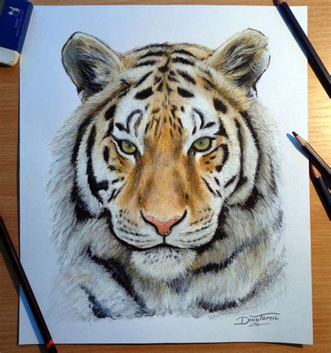 25 Beautiful Animal Drawings for your inspiration - How to Draw Animals ...