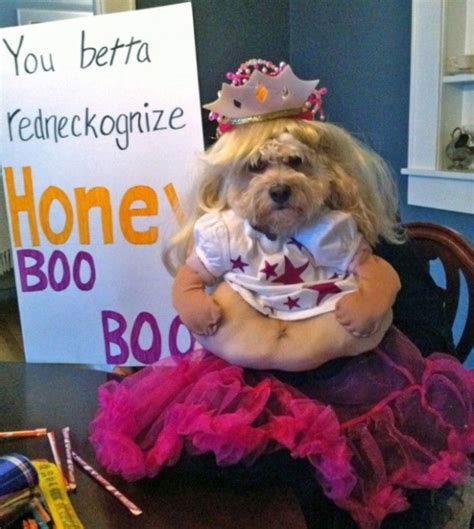 18 Super Cool Dog Halloween Costumes